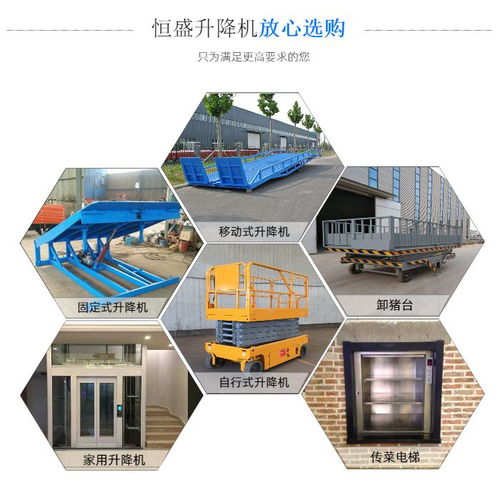 恒盛機(jī)械 質(zhì)量有保障的專業(yè)裝豬臺與屠宰設(shè)備制造商